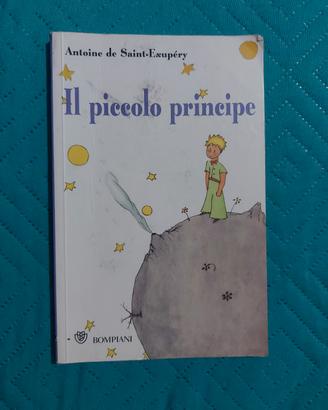 il piccolo principe