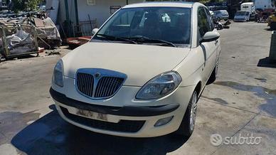 Ricambi Lancia Ypsilon cil 1.4 benzina anno 2005