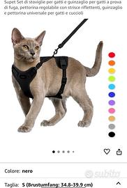 Guinzaglio e pettorina per gatto