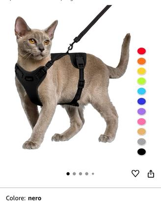 Guinzaglio e pettorina per gatto