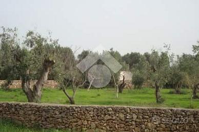 TER. AGRICOLO A SANNICOLA