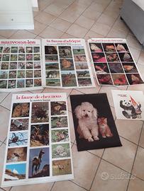 6 poster educativi vintage 