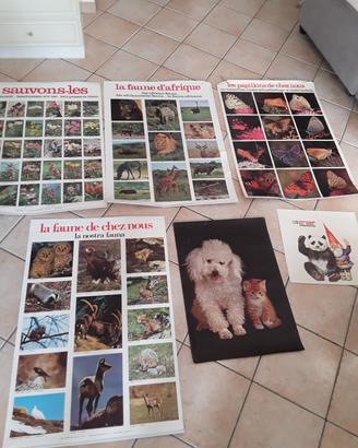 6 poster educativi vintage 