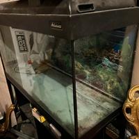 Aquario 500 litri