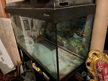 Aquario 500 litri
