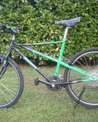 Bella bici vintage