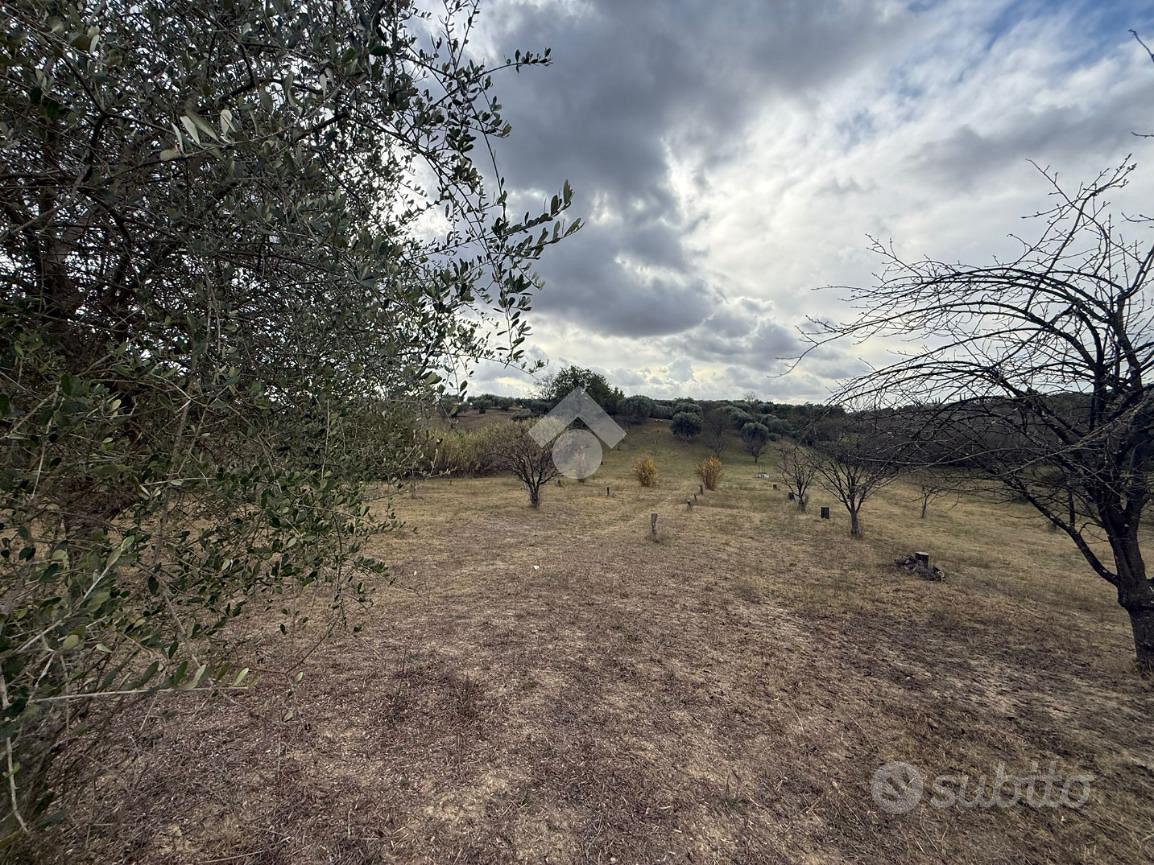 TER. AGRICOLO A SANT'ANGELO ROMANO - Vista 5