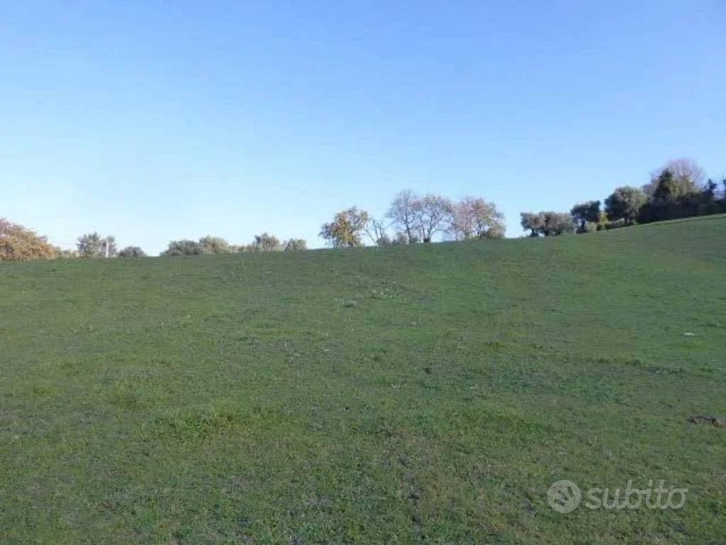 Immobile in asta di 6430 m² a Casignana - Vista 5