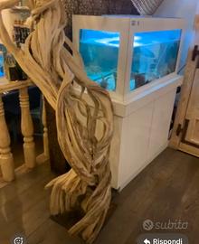 Acquario