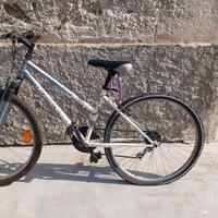 Bici ragazzo 26 "