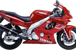 Cupolino Givi per Yamaha YZF 600 D118S