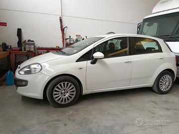fiat punto diesel 
