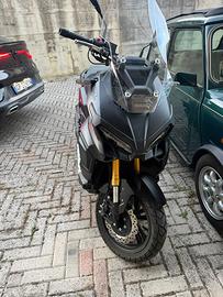BRERA X 300 anno 2026!