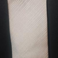 Cravatta Ermenegildo Zegna 