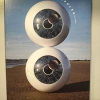 Doppio dvd dei Pimk Floyd Pulse