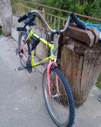 bicicletta da mtb con trasportino 