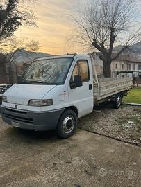 ducato 2.5 d