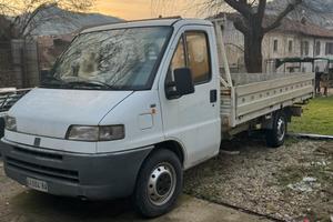 ducato 2.5 d