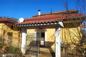 Rustico/Casale/Corte Torrice [Cod. rif 3115870VRG]