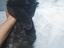 Immagine 2