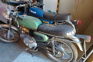 Benelli 2C 125
