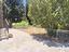 Immagine 22