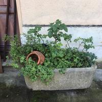 Vasca in pietra  chiara  fine 800