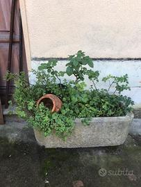 Vasca in pietra  chiara  fine 800