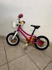 Bicicletta