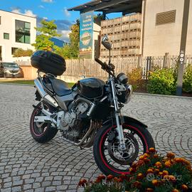 Honda hornet 600