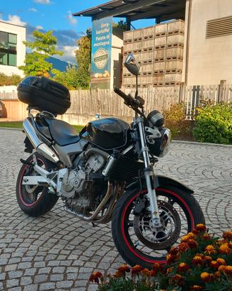 Honda hornet 600