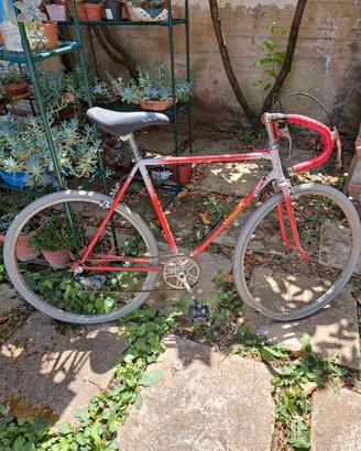 Bici da corsa rossa