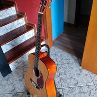 chitarra acustica elettrificata vgs 