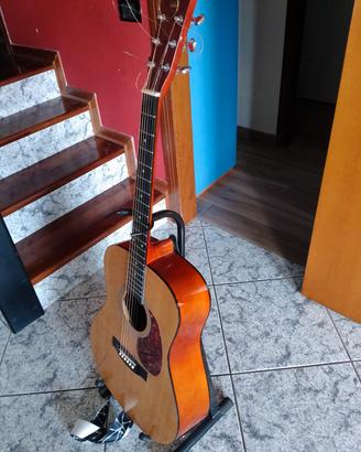 chitarra acustica elettrificata vgs 