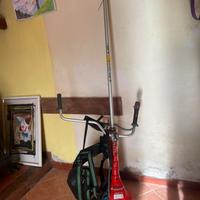 Decespugliatore professionale