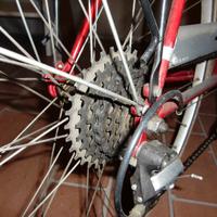 Bicicletta sport-touring