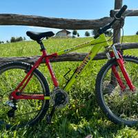 Mtb Kastle SL 500 ruote da 26”