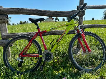 Mtb Kastle SL 500 ruote da 26”