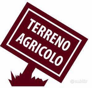 TERRENO AGRICOLO DI 42.000 MQ A MIRANO