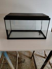 Acquario con accessori 