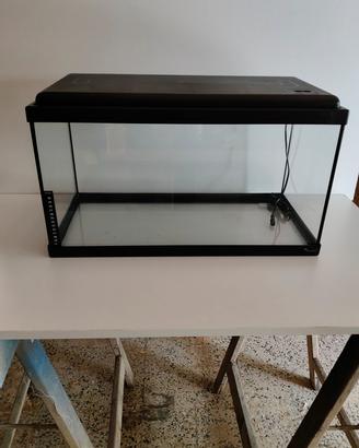 Acquario con accessori 