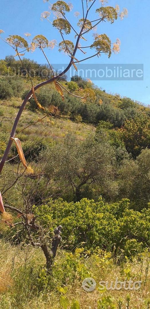 Terreno agricolo a Linguaglossa - Altro