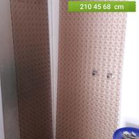 VETRATA SEPARATRICE CON PORTA