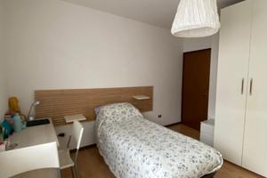 Stanza singola in via Matteotti Trento centro