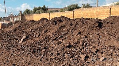 Concime / letame di pecora