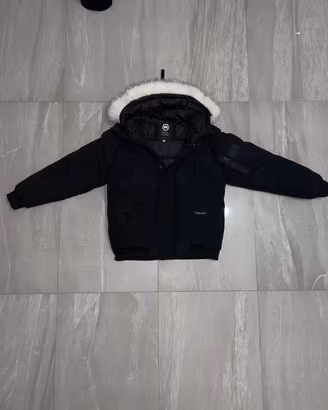 Canada goose 