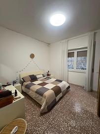 Camera a Cornelia dal primo aprile