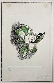 Litografia Renato Guttuso