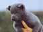 Immagine 4