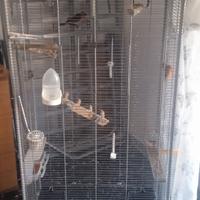 Voliera + gabbie da cova